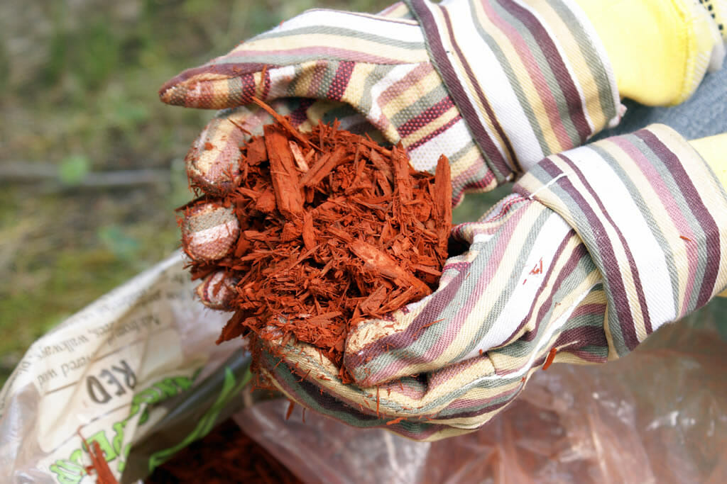 Mulching-services-Cape-coral