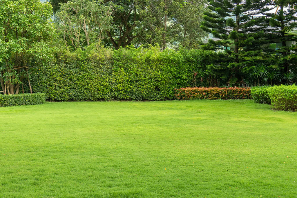 Triple-j-sodding-Naples