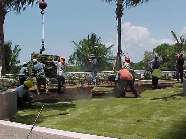 Triplej-cape-coral-lawncare