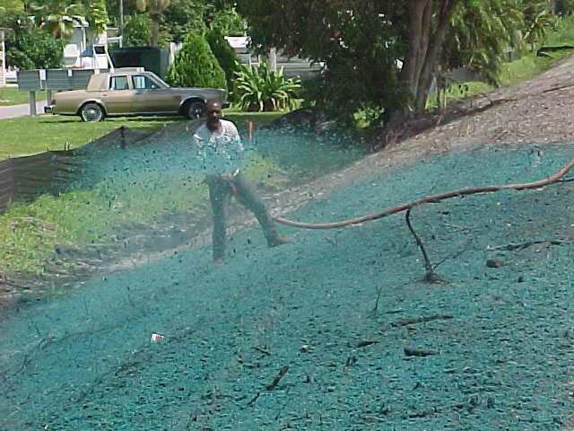 Triplej-fort-myers-hydroseeding